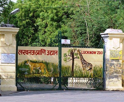 Lucknow Zoo welcomes hordes of visitors once again after a halt of almost two months!