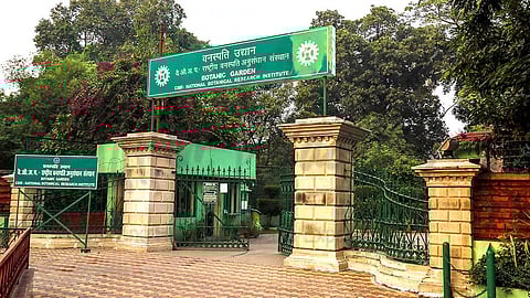 NBRI Lucknow joins hands with Municipal Corporation to turn the city into a natural O2 hub