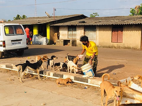 Goa lodges its name as the first state in India to be rabies-free!