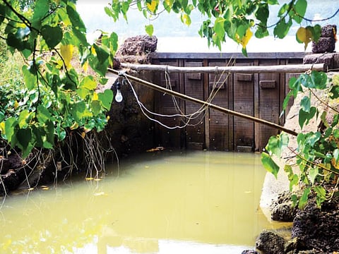 THIS agricultural system was developed by Goan tribals way before the Portuguese invasion