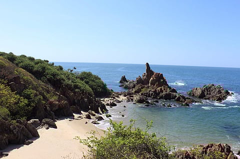 Know about THIS town near Goa that is a habitat of the rare Indian Swiftlet