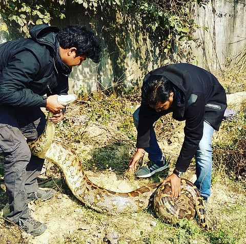 Know about THIS person from Lucknow, whose passion propels him to rescue urban wildlife