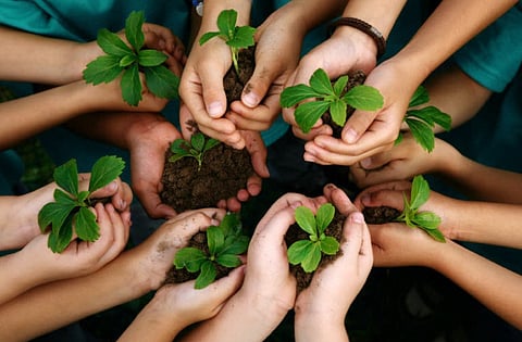 'A plant in every house' campaign aims to sow 2 lakh saplings in Indore by Independence Day