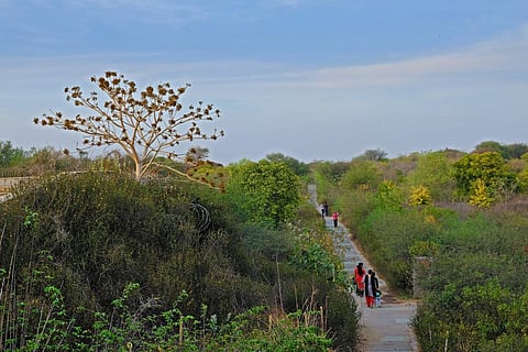 Upcoming biodiversity park in Kanpur to preserve & protect the local Ganga Basin ecosystem!