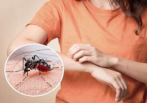 Indore witnesses a spike in dengue cases for 2 consecutive weeks; tally rises to 307