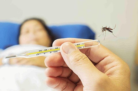 Highest daily spike of 24 new dengue cases logged in Lucknow on Thursday