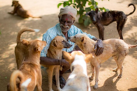 Helping & fostering strays, THESE 5 collectives are leading animal welfare in Lucknow!