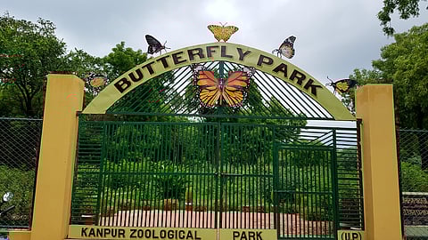 New butterfly park with over 27 species at the Kanpur Zoo opens gates for visitors!