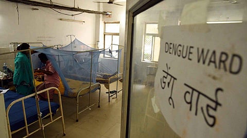 Dengue cases cross the 450 mark in Lucknow with 20 new cases reported on Wednesday