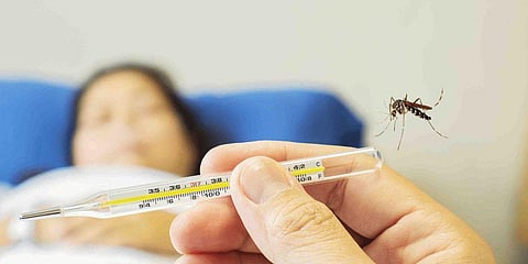 Dengue tally spikes up in Lucknow with 9 new cases reported on Sunday