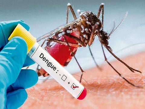 36 new dengue cases reported in Lucknow on Wednesday