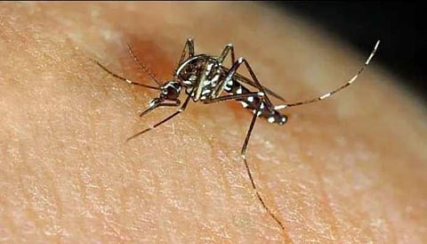 Lucknow records another case of Zika virus today