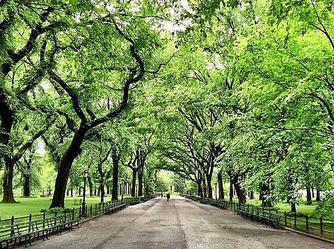 Rajasthan Housing Board to build a jogging track & park in Jaipur's Mansarovar area