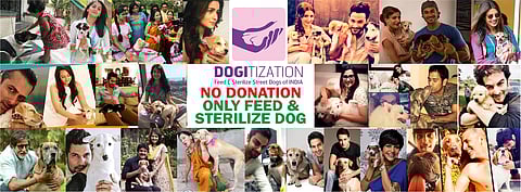 Dogitization in Indore: Strays to get food, shelter & much more!