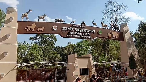 Indore zoo made winter-ready with new heating arrangements for animals!