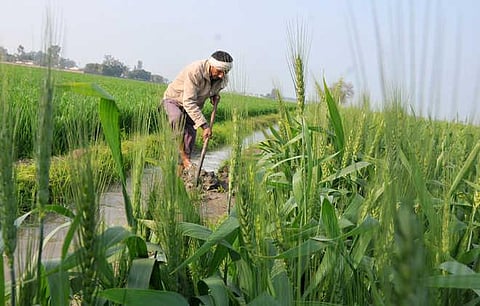 ‘Meri Policy, Mere Hath’, Doorstep Crop Insurance Scheme launched in Sanwer Tehsil of the Indore
