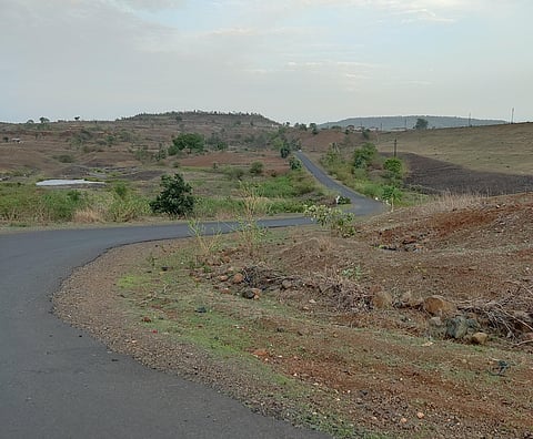 Indore Forest Department to set up Wildlife Sanctuary in Choral & Barwah forest area