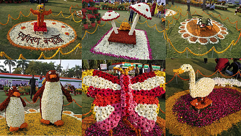Flower Show - राजभवन में चल रही पुष्प प्रदर्शनी में देखिये फूलों की खूबसूरती के साथ गवर्नर हाउस की वास्तुकला का मनमोहक नज़ारा
