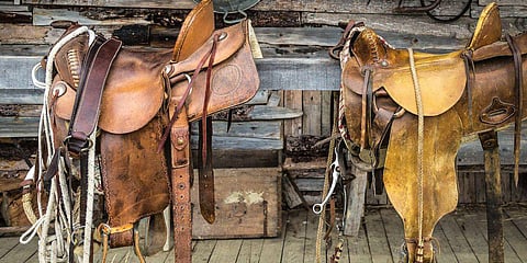 जानें कैसे कानपुर के चमड़ा उद्योग ने इस शहर को दुनिया के नक्शे पर विशेष जगह दी