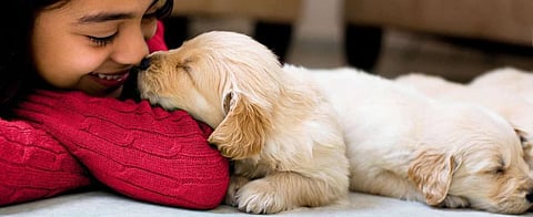 Dog owners in Lucknow take note! Get your pets registered at PUPS in Indira Nagar on April 11