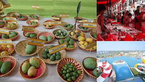 photo-collage.png (7) (1)