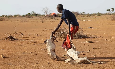 The drought has also killed at least 3.5 million animals