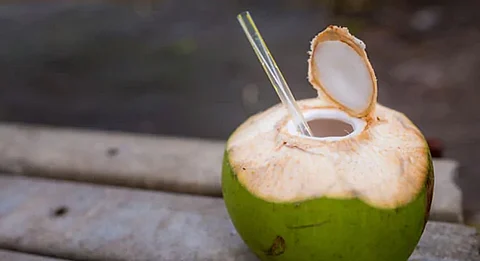 coconut
