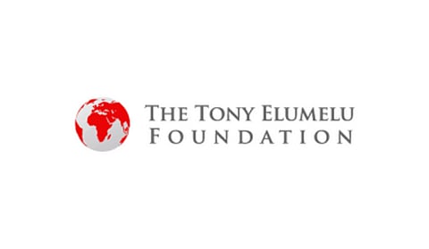 Tony Elumelu foundation