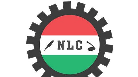 NLC Logo