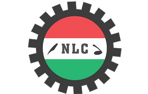 NLC Logo