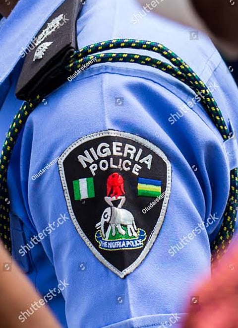 The Nigerian police force