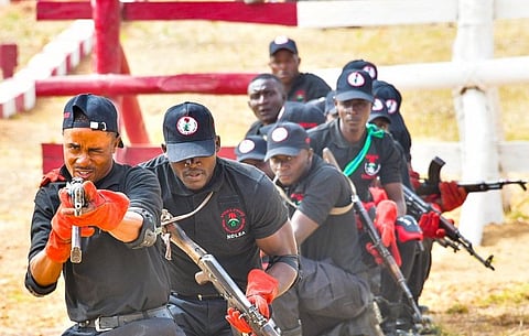 Ndlea Officers in Action