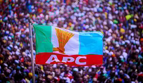 APC Flag
