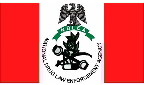 NDLEA logo