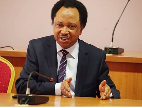 Senator Shehu Sani