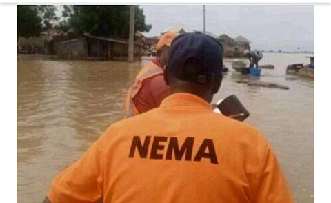 NEMA
