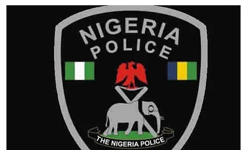 Nigeria Police logo used to support the story