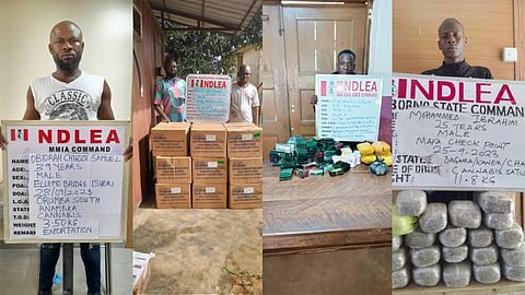 Samuel and other drug peddlers
