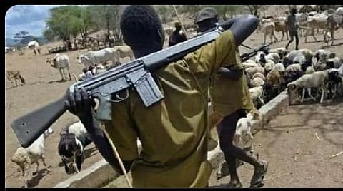 Armed Herders