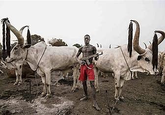 Cattle herders with ak47