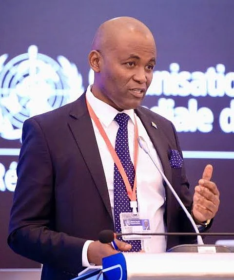 WHO Africa regional director-elect, Dr Faustine Ndugulile.
