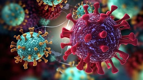 Hantavirus