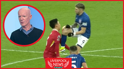 Dermot Gallagher gave his verdict on an incident involving Wataru Endo in Liverpool v Ipswich (Credit: Sky Sports)