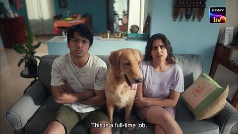Pet Puran Web Series