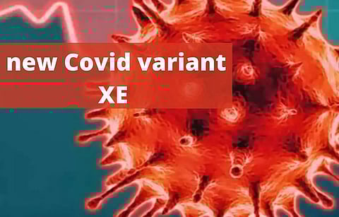 Coronavirus Variant Xe Reported