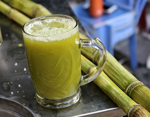 sugarcane
