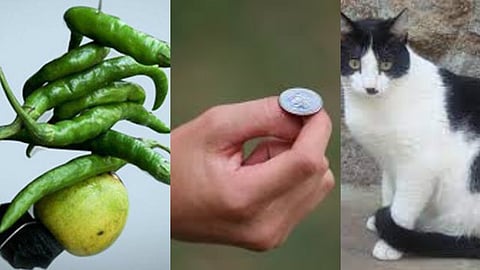 नदीमध्ये नाणे टाकणे, घराबाहेर लिंबू मिरची लटकवणे, जाणून घ्या या गोष्टींमागचे शास्त्रीय कारण