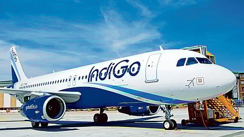 Indigo