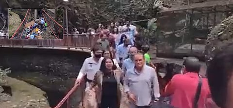 Viral Video|social media