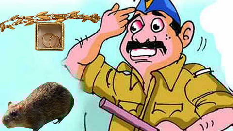 उंदराने पळवले 10 तोळे सोने अन् पोलिसांची अशी झाली दमछाक